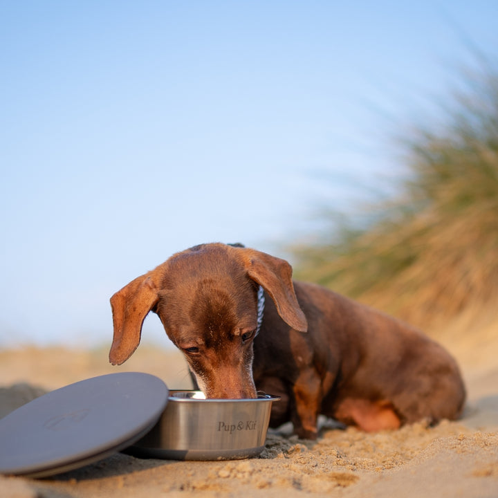 Lidded Portable Dog Bowl