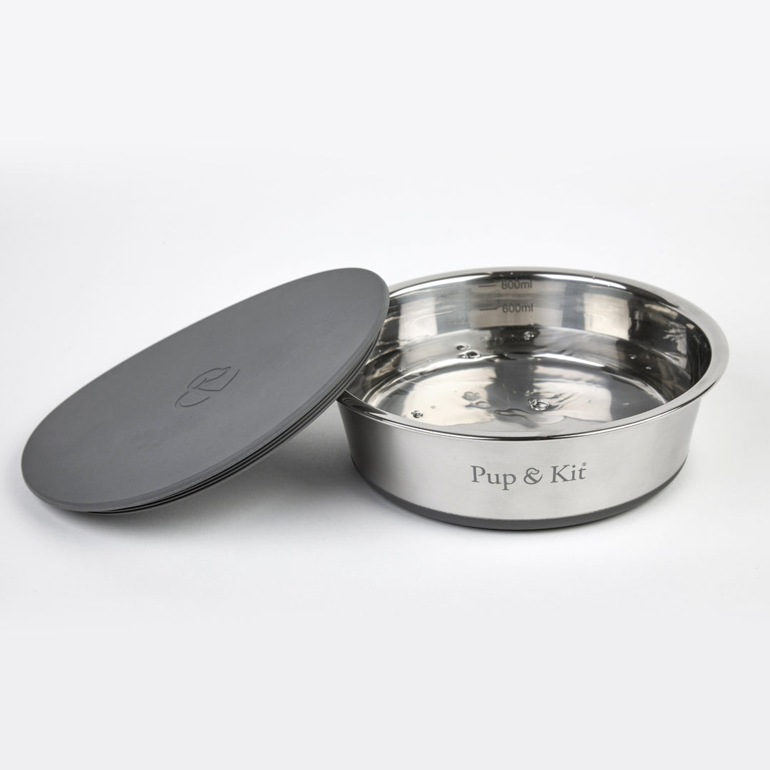 Lid-it Pet Bowl with Stay-Fresh Lid