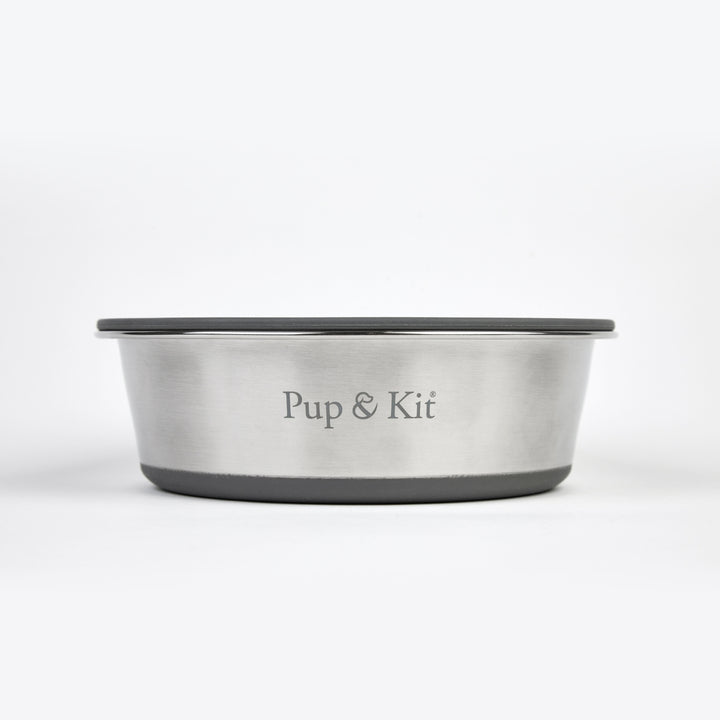 Lid-it Pet Bowl with Stay-Fresh Lid