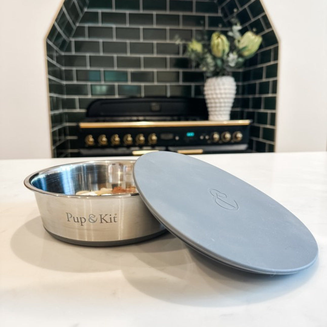 Lid-it Pet Bowl with Stay-Fresh Lid