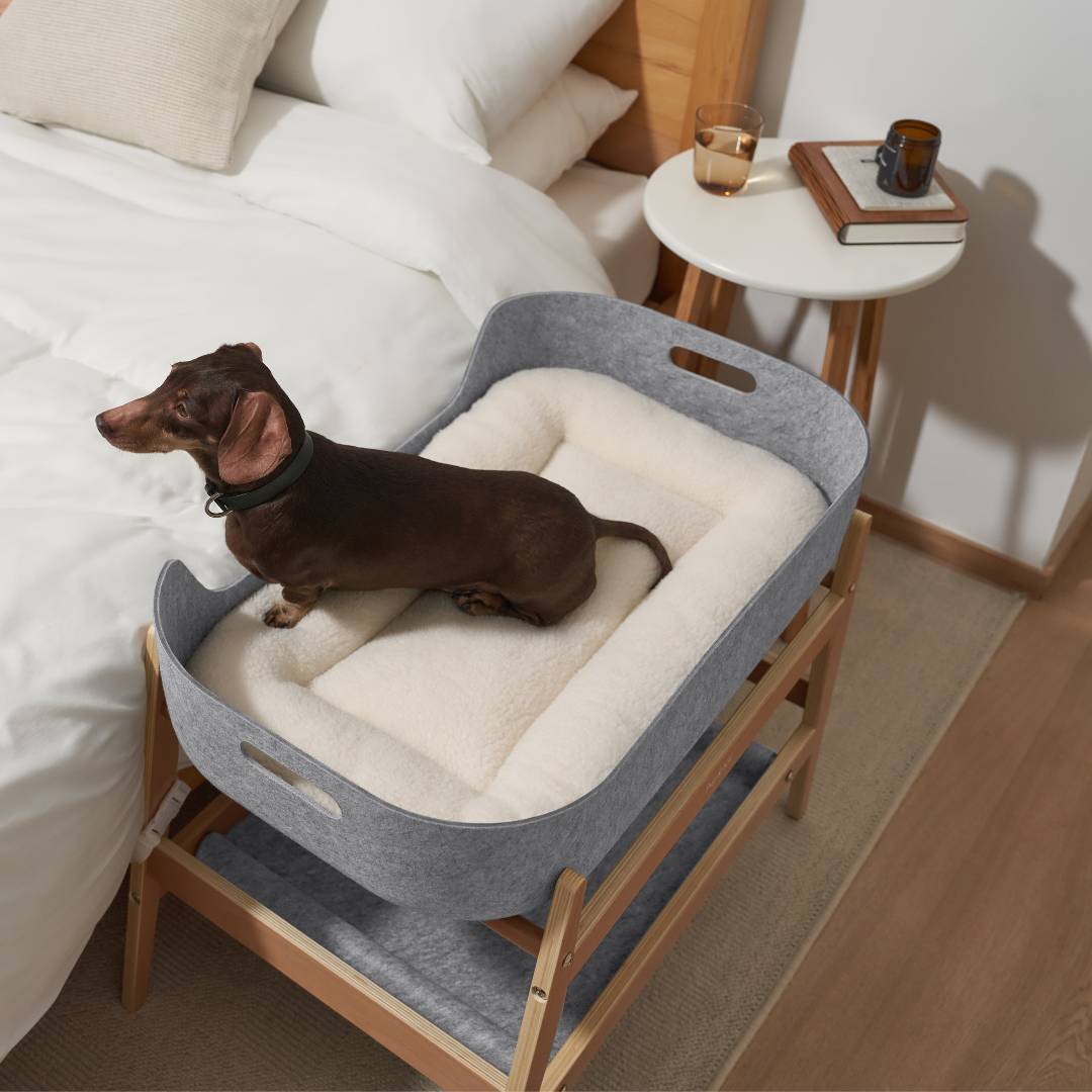 Bedside dog clearance bed with steps