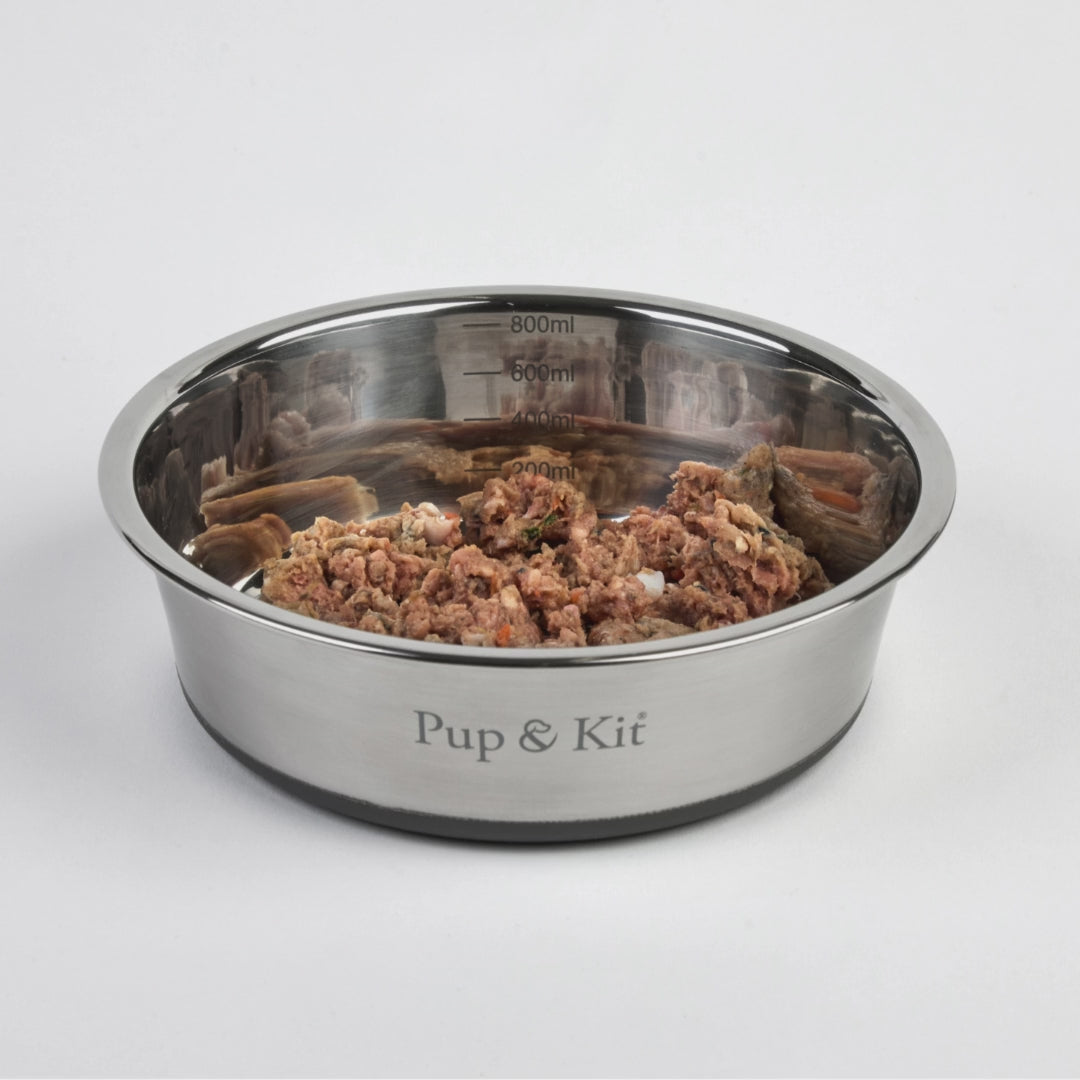 Lid-it Pet Bowl with Stay-Fresh Lid